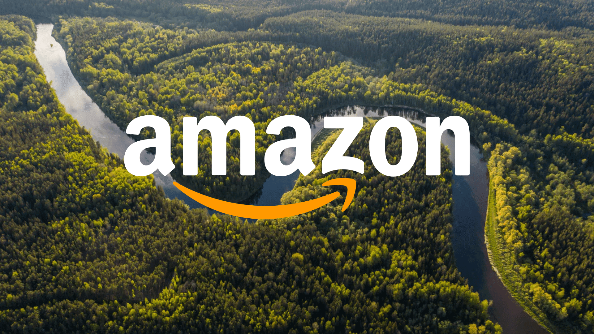 Amazon Aktie Analyse