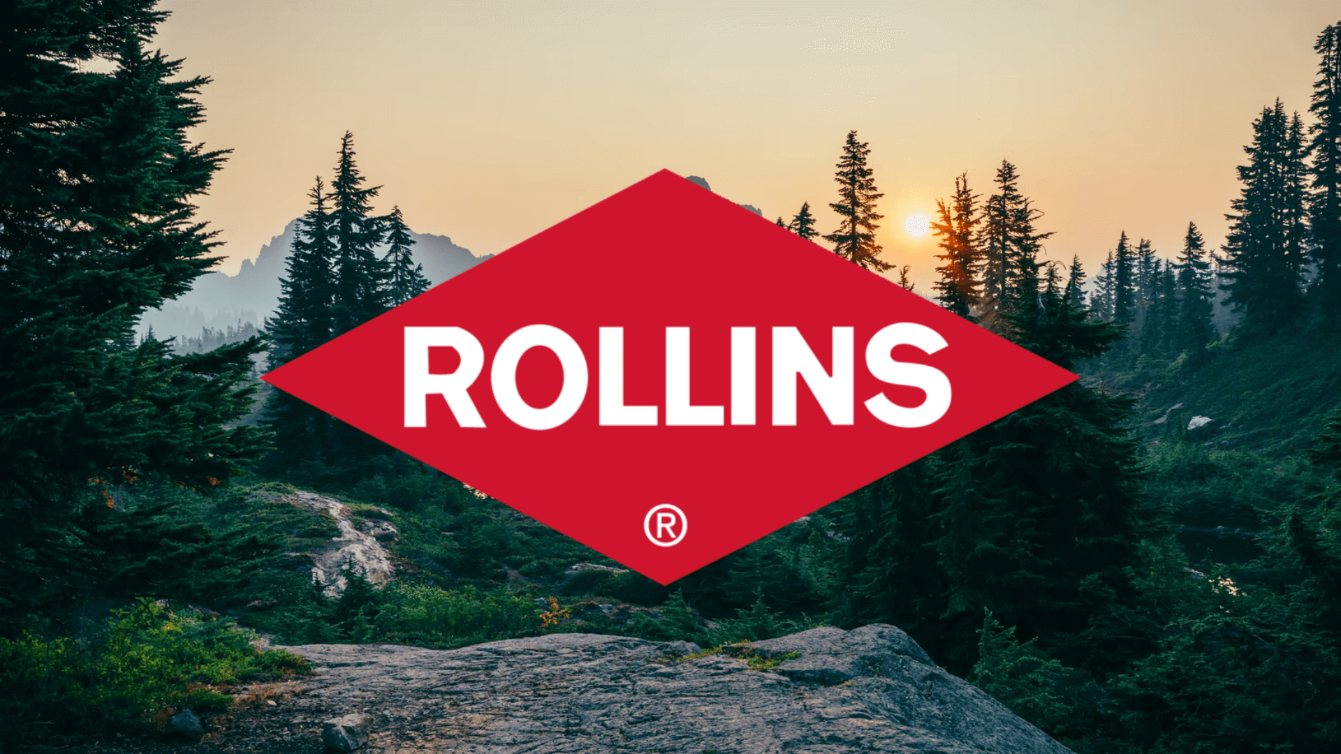 Rollins Aktienanalyse Titelbild
