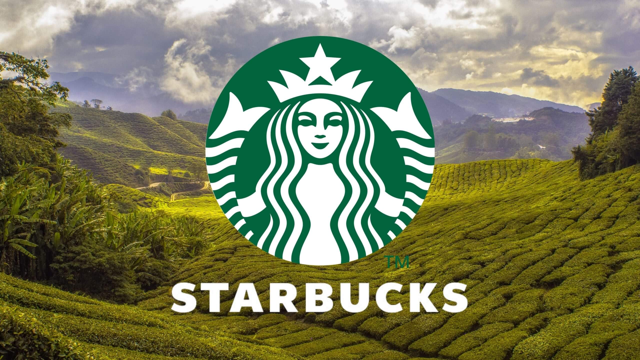 Starbucks Aktienanalyse Geschäftsmodell