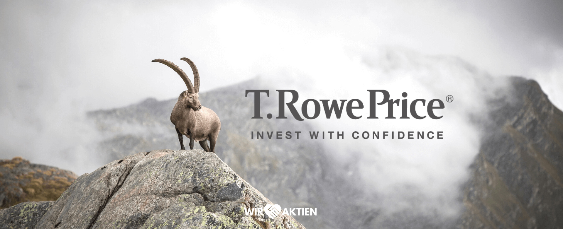 T Rowe Price Aktie Analyse – Investieren ins Investieren