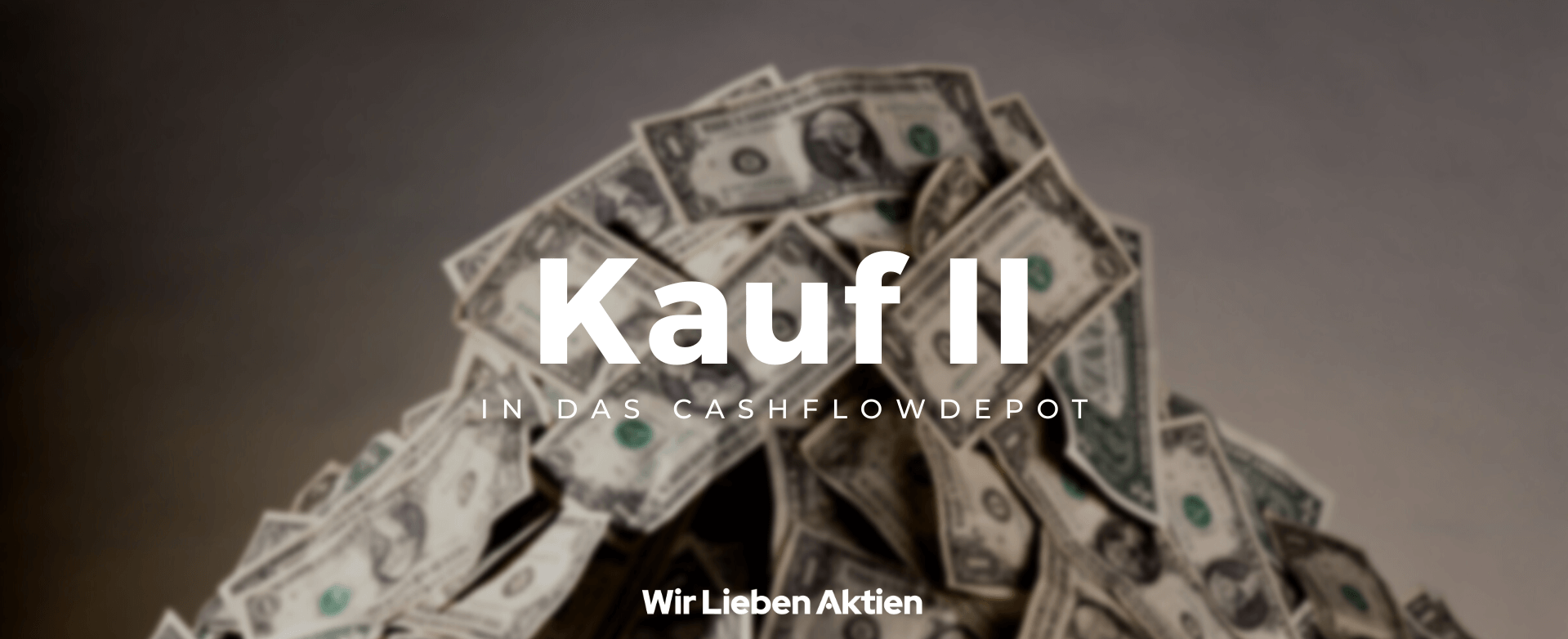 Cashflowdepot - Kauf 02