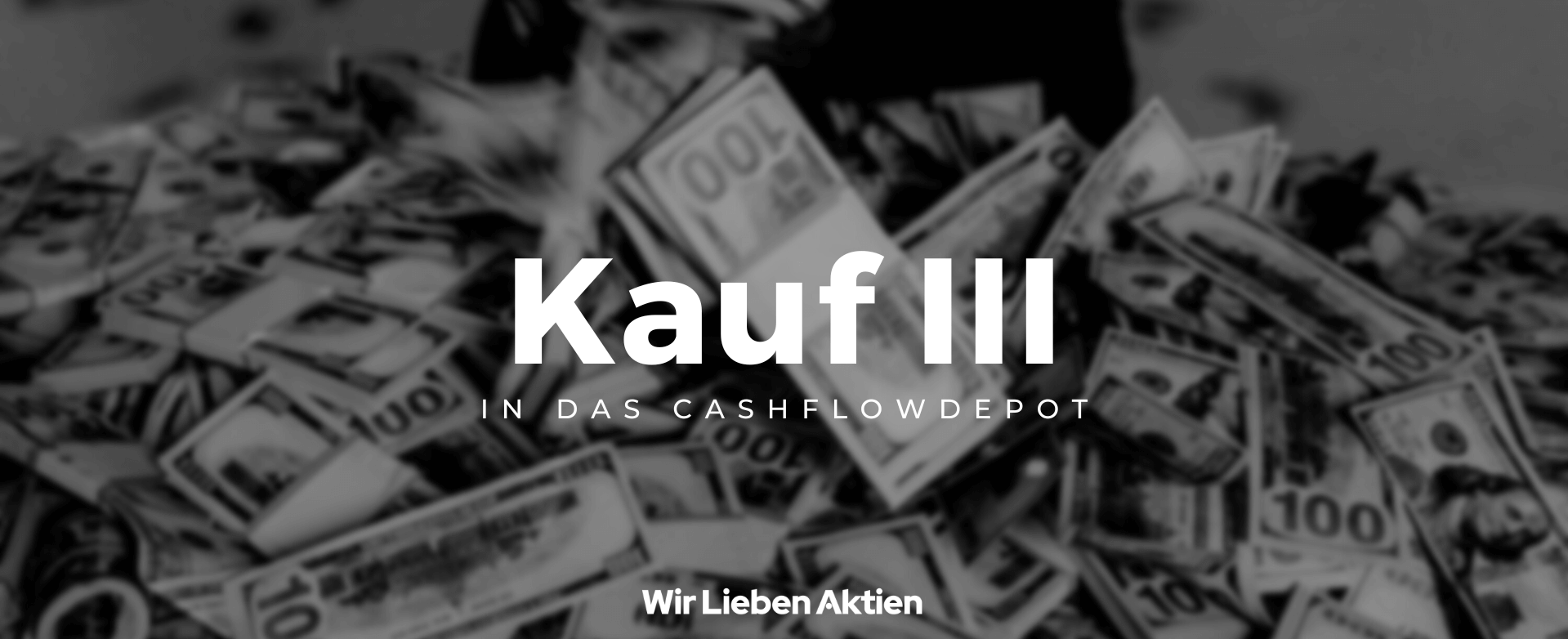 Cashflowdepot - Kauf 03