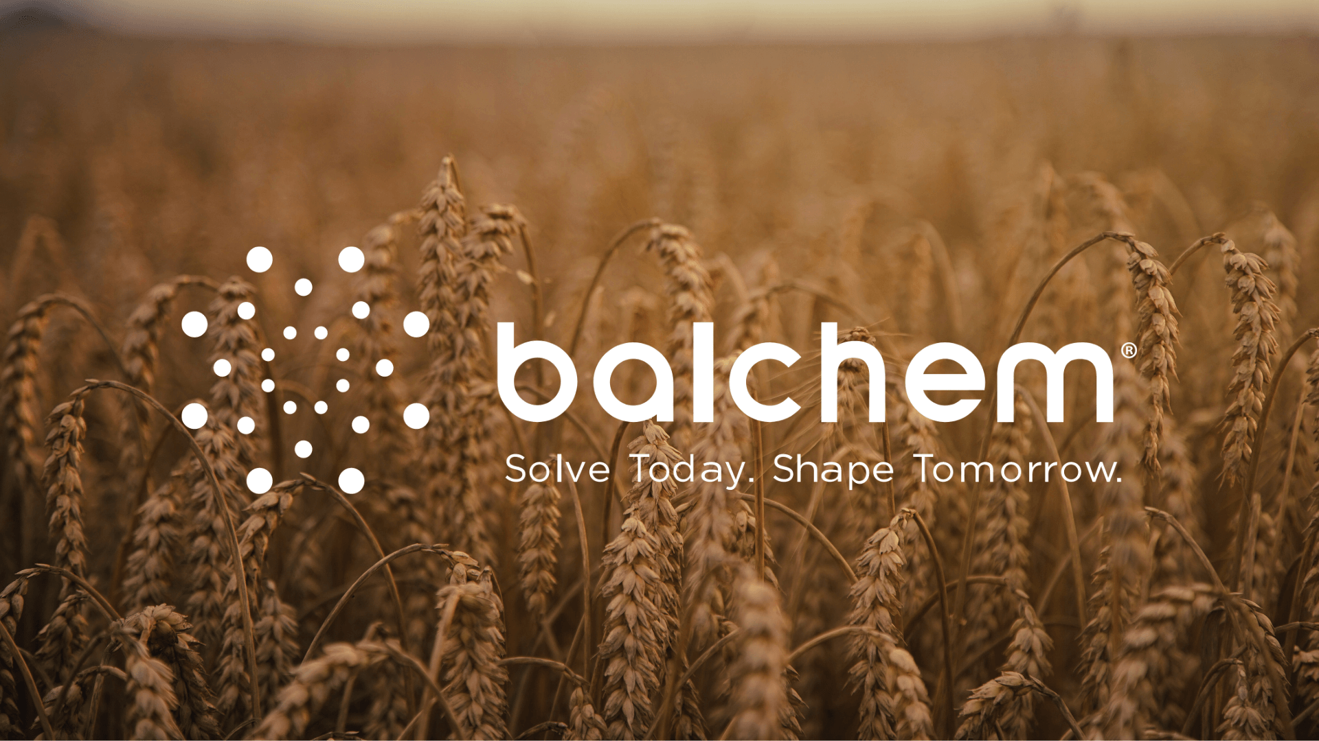 Balchem Group Geschäftsmodell