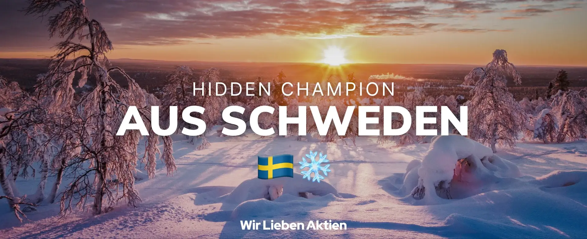 Schweden Hidden Champion Aktienanalyse Einleitungsbild
