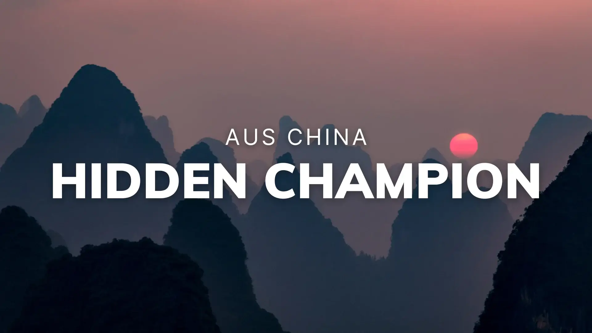 Hidden Champion China Aktienanalyse