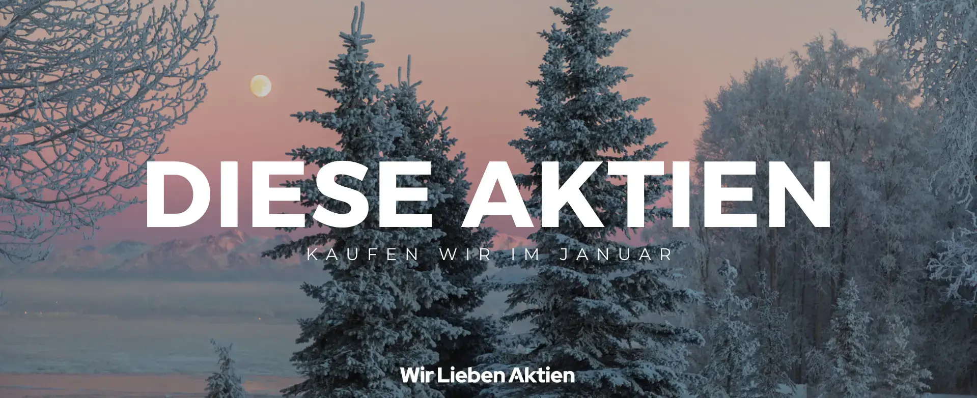 Aktien kaufen Januar 2025