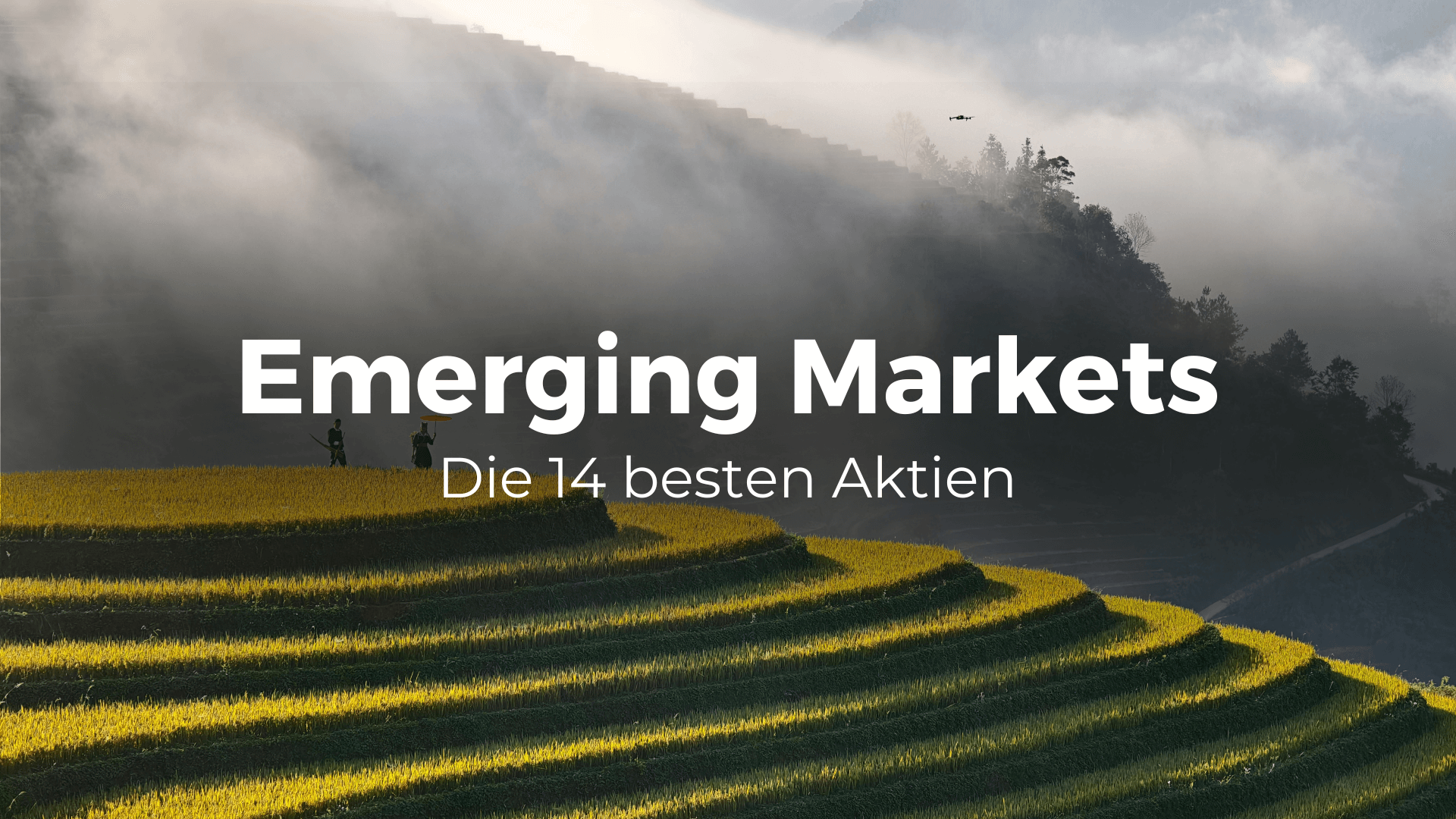 Die 14 besten Aktien aus den Emerging Markets